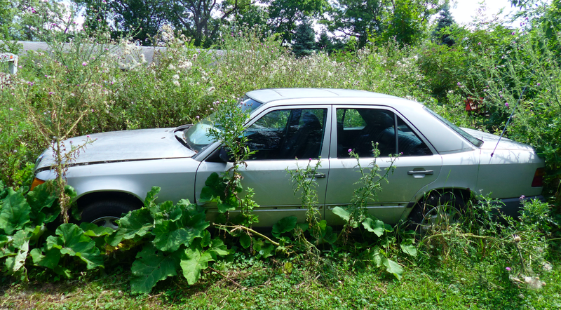 Illustration for article titled Two Years and 180 Cars Later, Michigan Man Forced to Sell 20 Cars A Month Has Eight Days To Clear His Lot